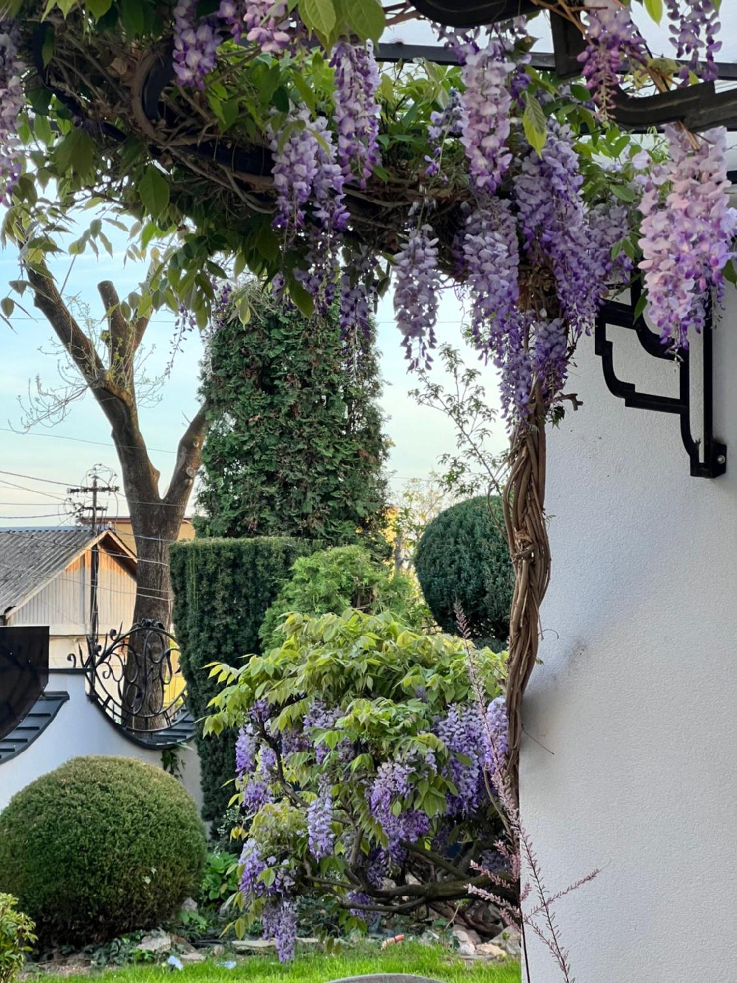 Castle Garden *